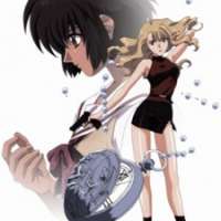  ����� Noir <small>Art Director</small> 